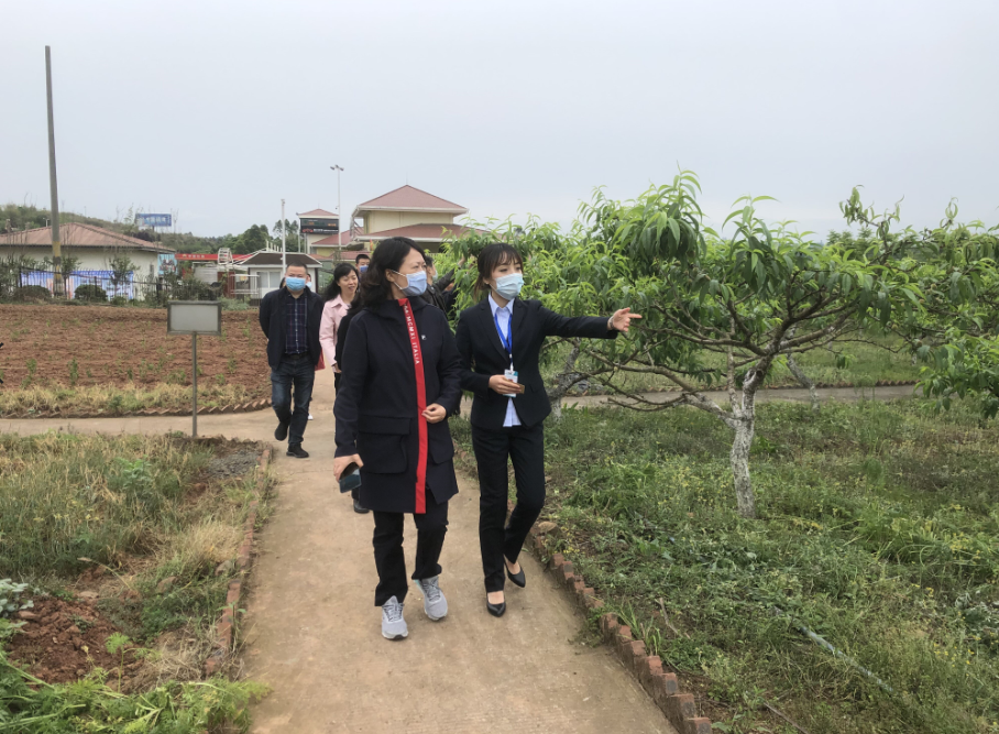 QQ截图20200423150126.png QQ截图20200423150126.png